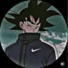 rafael_do_brawl.10