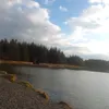 markcijgaqq