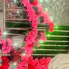 usermaliktamoor786