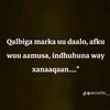 msssuro235
