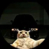 istregoc8mt