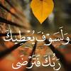 mohamed.shoaib003