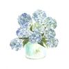 Rachel | Hydrangea & Home
