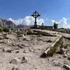 pepe_3805