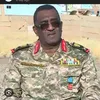 elmahasy77