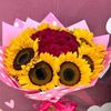 estrellitahernand375