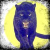 oumar_attaher