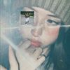 gv_xiaav1