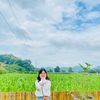 wachewa19