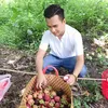 sangnguyeng39