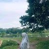 jlyskmaptri__
