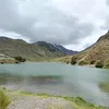 malvaditav