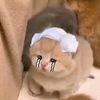stuffedsteamedbun03