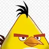 callixqmanc