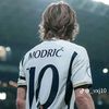 moayedcr78
