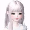 widia_ch13