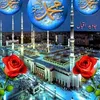 zulfikarkar82