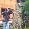 ebit_155