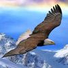 user17355301919335