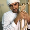 7_binzayed