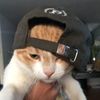 buckburner_jooosshtenan