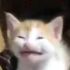 krisaem