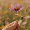 light.j97