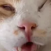 alycia_981