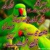 malik05262
