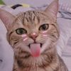nyanlinhtet.....oh