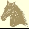 user9348112214116