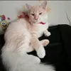 mami_dyla