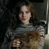 .hermionegata