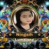 ningsih8353