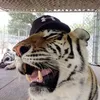 randomboy171