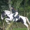 millie_nerys_equestrian