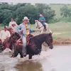 fandutra
