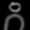 e_or_e
