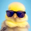 el_patito_feo12