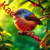 www.ticktok.com_