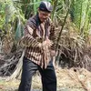 gimbulgombesprase