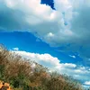 joaocosta_.0