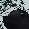 ______________gui