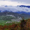 rezhyar_merozi
