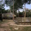 nguyn.vn.cng625