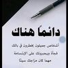 user8135331299057