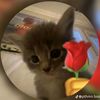 neyder_morales0