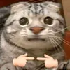 m_anhnn