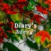 Diary's สีเขียว