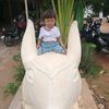 thyda5230